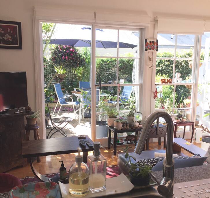 Spacious, comfortable lounge room facing a plant-filled, sunlit courtyard
