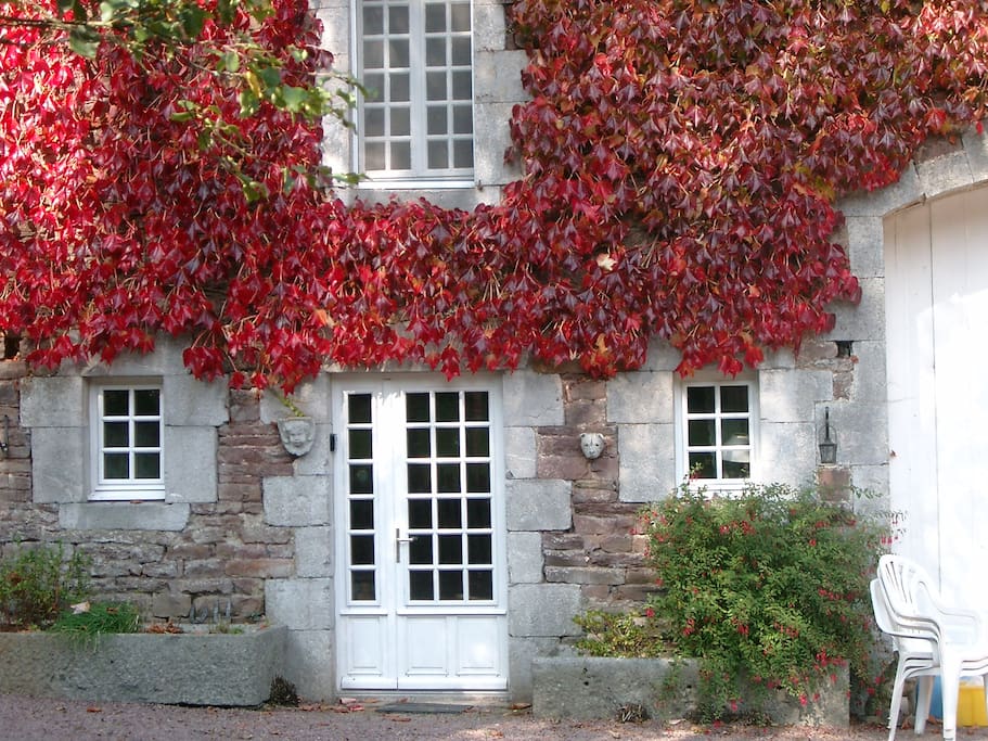 Autumn colours