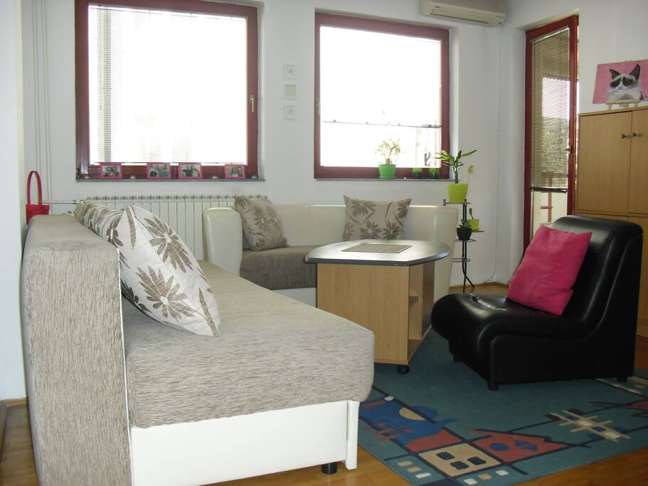 The sofa on the left can be used as a bed as well. It's an option when 3-4 guests are coming.