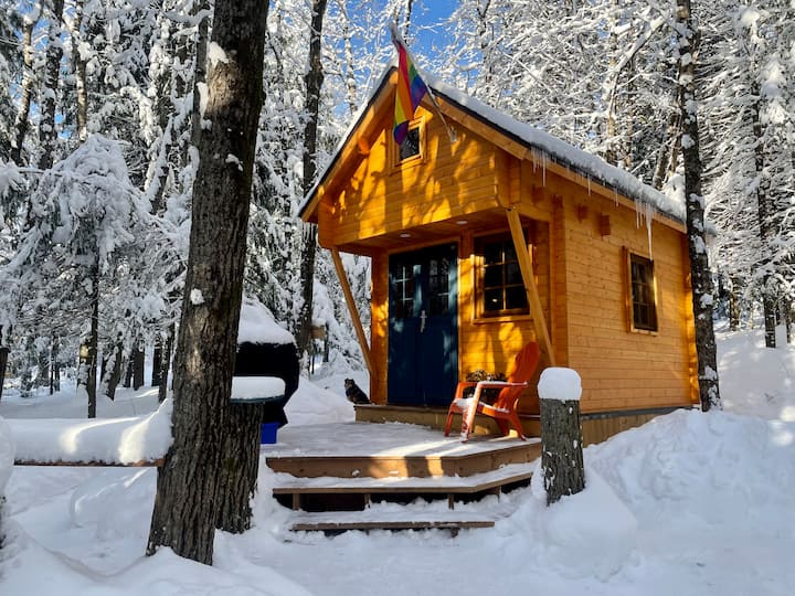 Elm 8 Cabin Haliburton Tiny Home, Glamping Tiny houses for Rent in