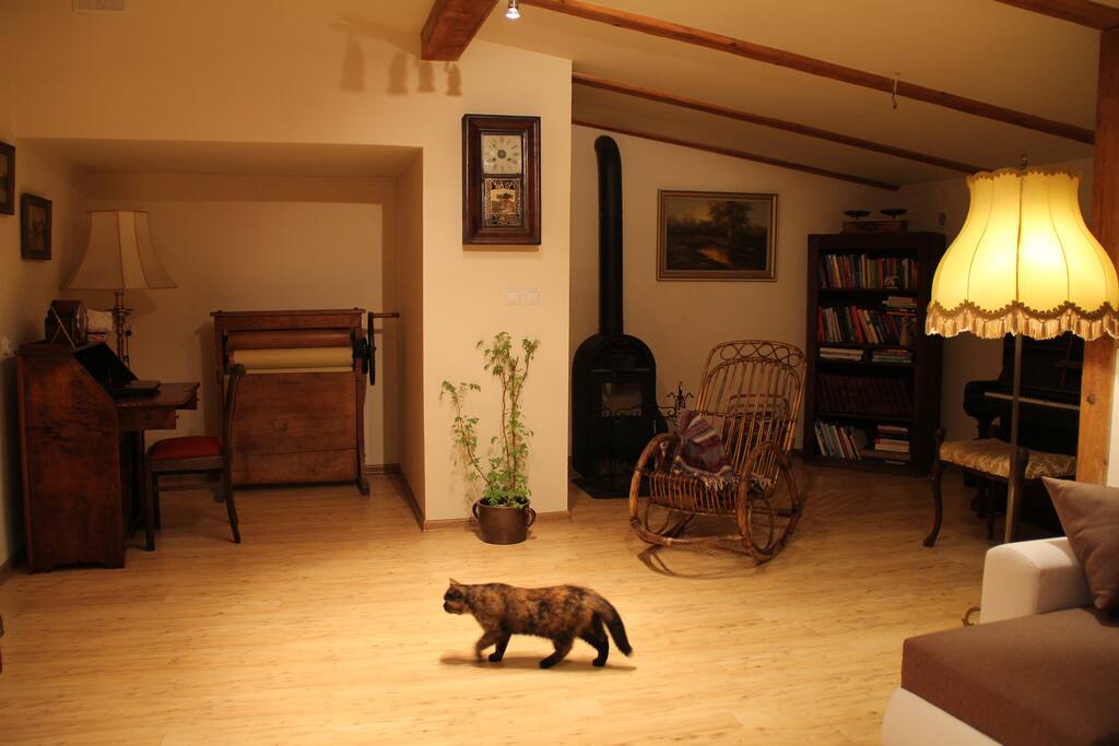 Salon