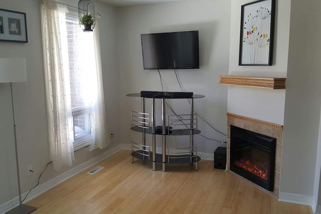 Fireplace/Living Room