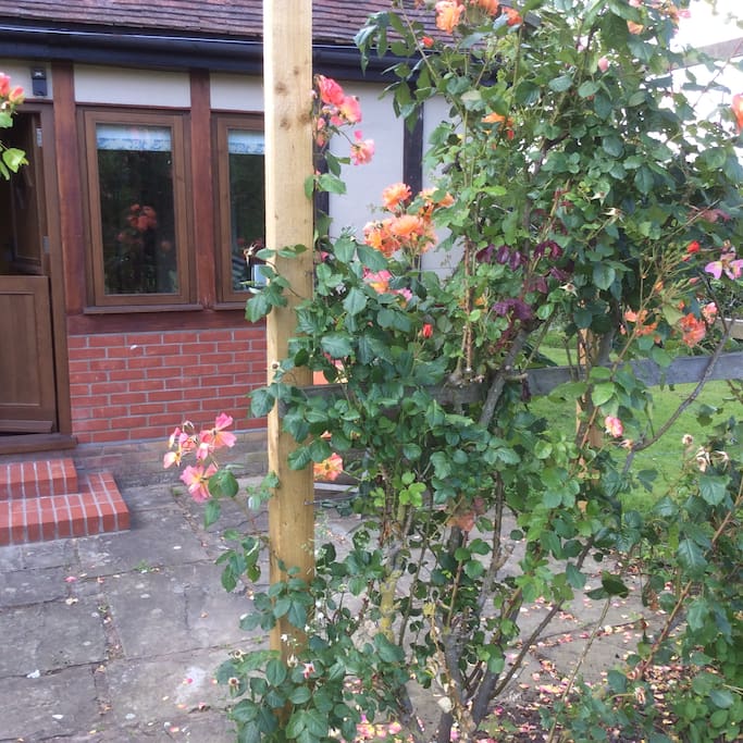 Pergola and terrace from right
