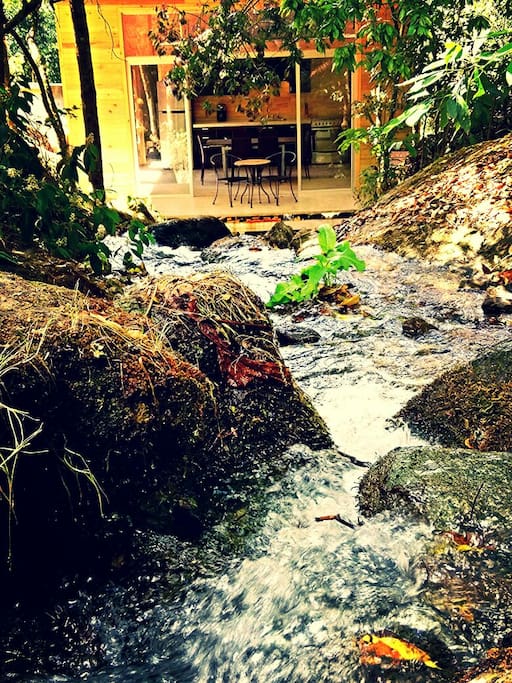 Creek above home(we have control of the water flow) that dives under the house to fill the trout pond below.