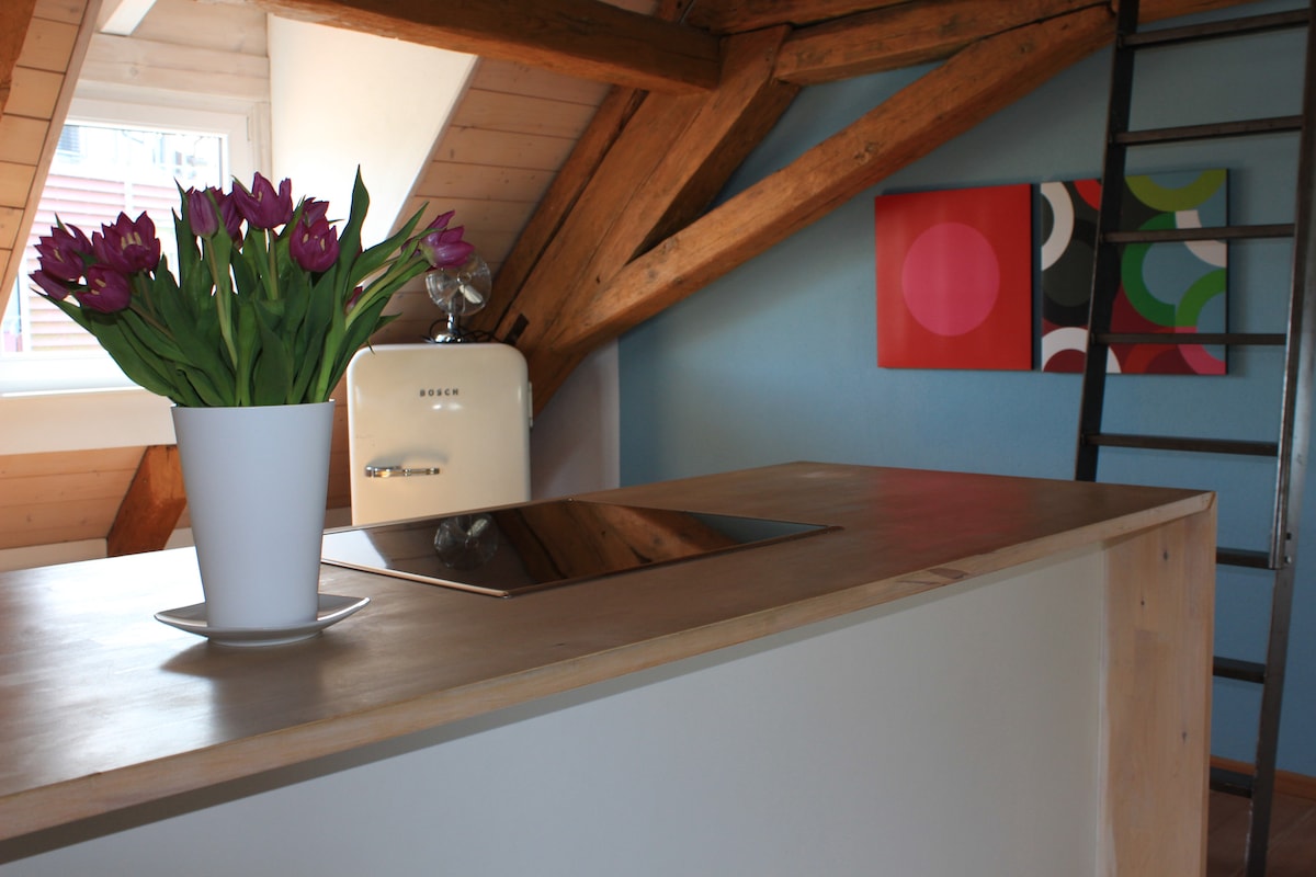 Top Airbnb: Attic apartment with lake view FeWo-2022-2178-8/050 in Konstanz