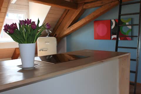 Top Airbnb: Attic apartment with lake view FeWo-2022-2178-8/050 in Konstanz