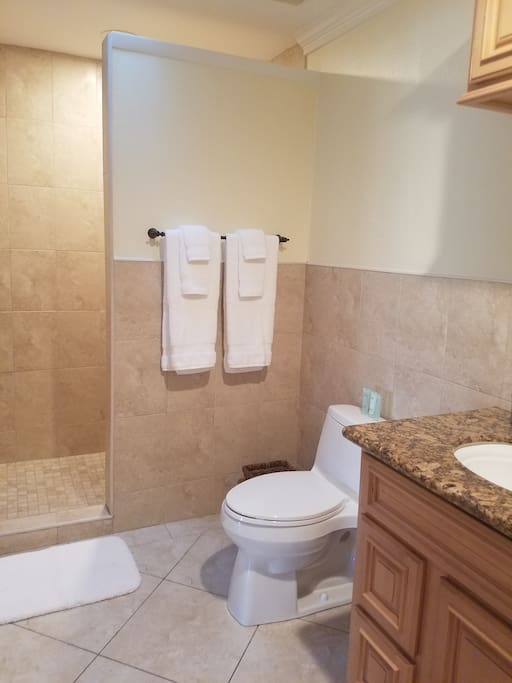 Master bathroom