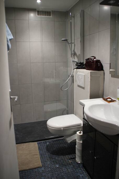 Salle de bains entièrement rénovée.
