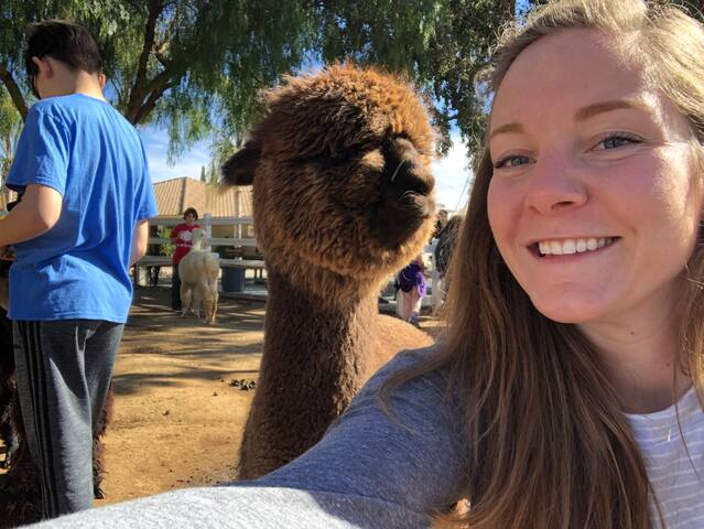Discover Alpacas In Temecula