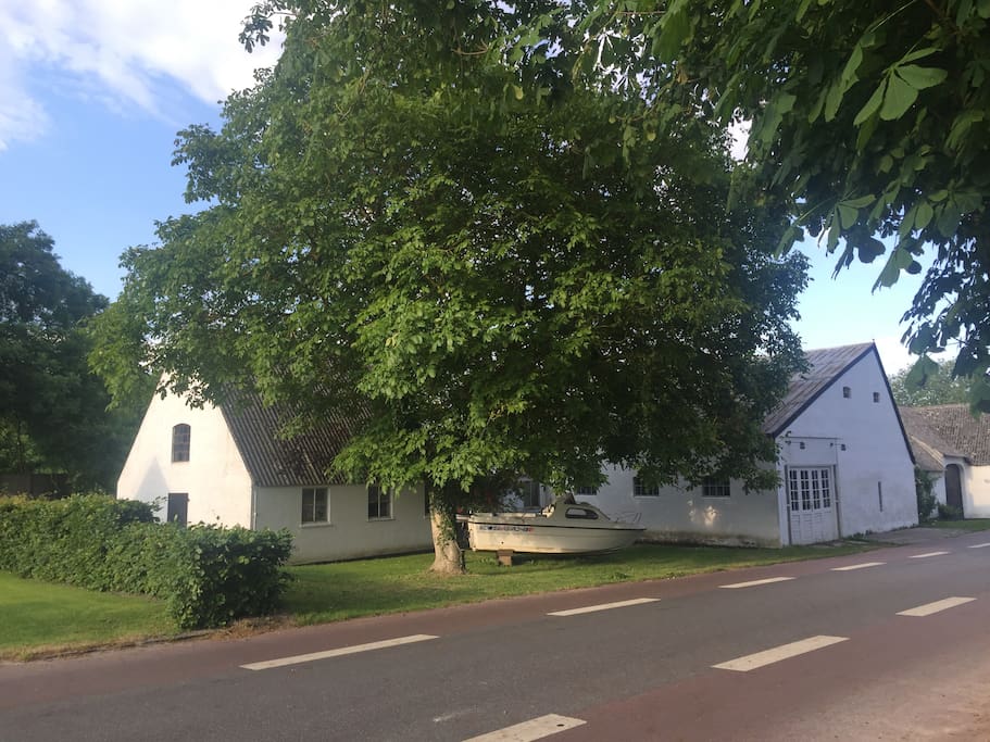 Østergaard set fra vejen. Indkørsel langs bøgehækken til parkering.