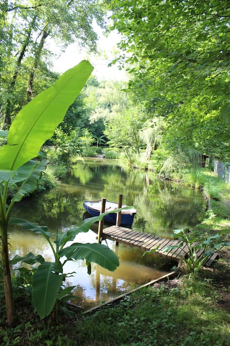 Bassin verdoyant avec petit bateau et cascade