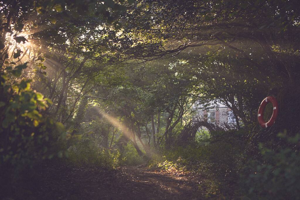 The Lost Cottage