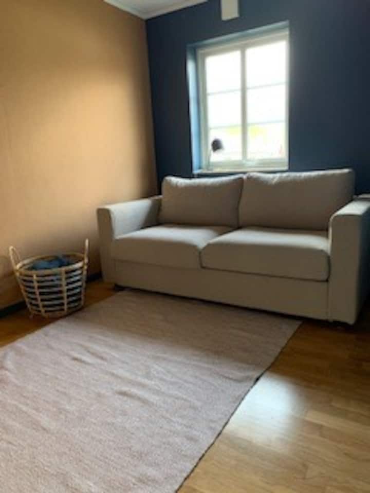 חדר אורחים עם ספה נפתחת