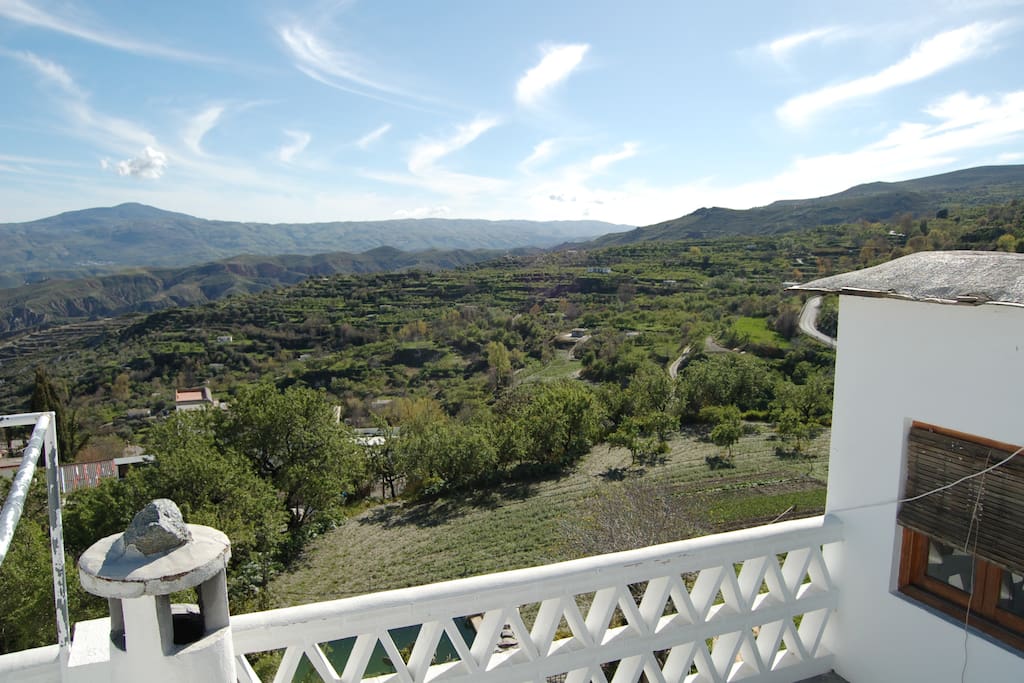 View from the terrace