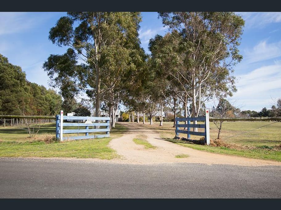 Street entrance / tree lined drive-way.