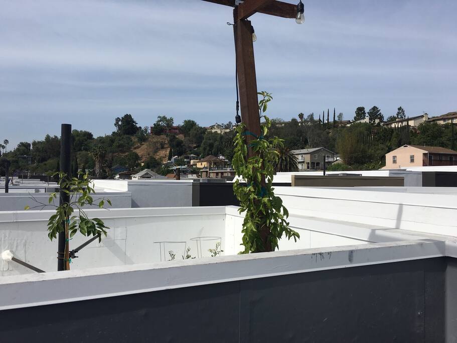 Private Rooftop Deck