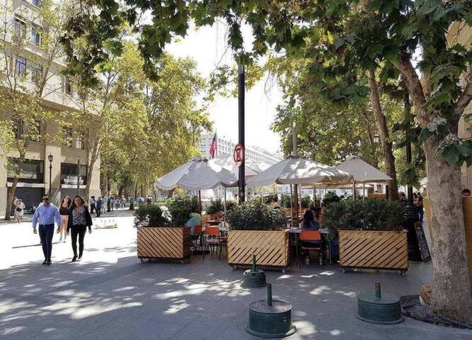 LINDO DEPARTAMENTO DELUX SANTIAGO