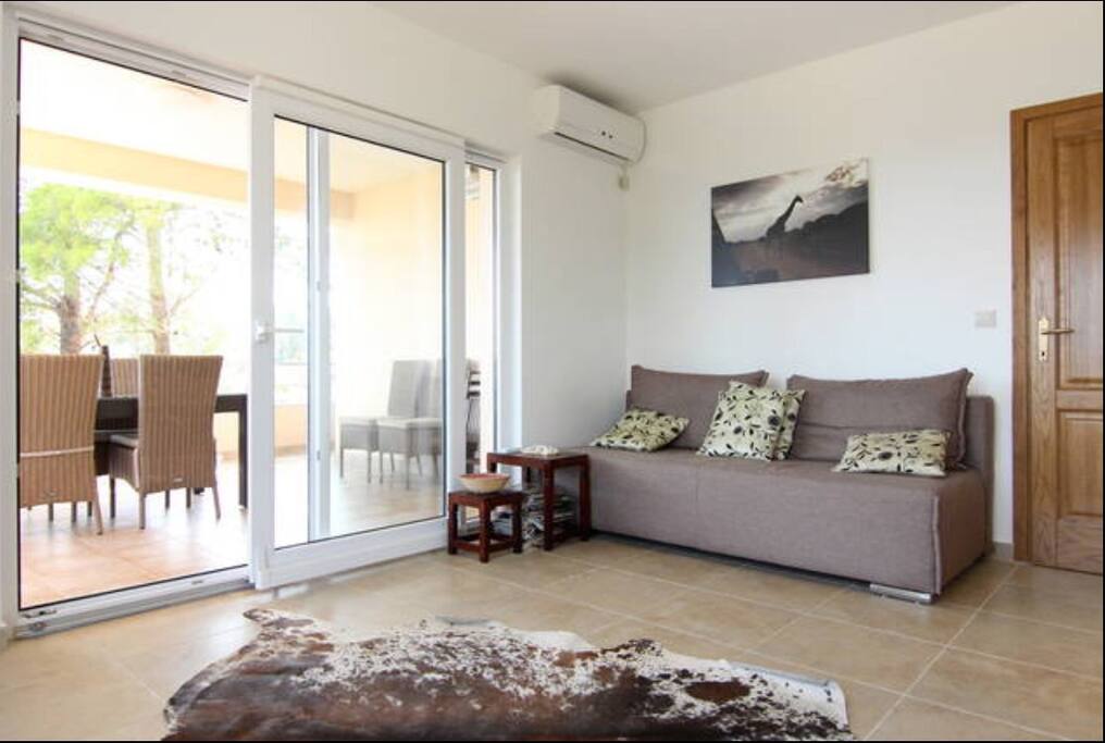 Living area pull out sofa for extra guests