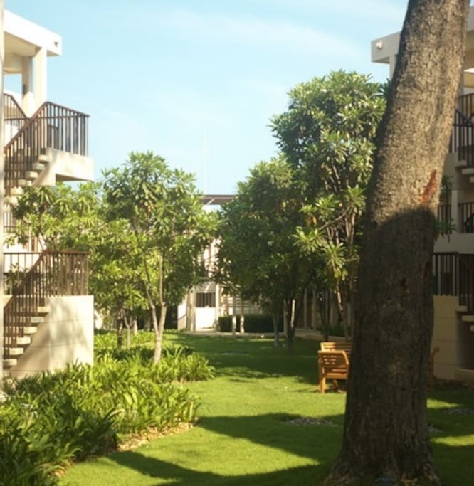Palm Crescent greenery entry