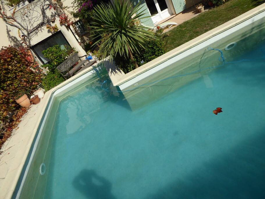 La piscine 7x4 environ, profondeur 1.6m environ