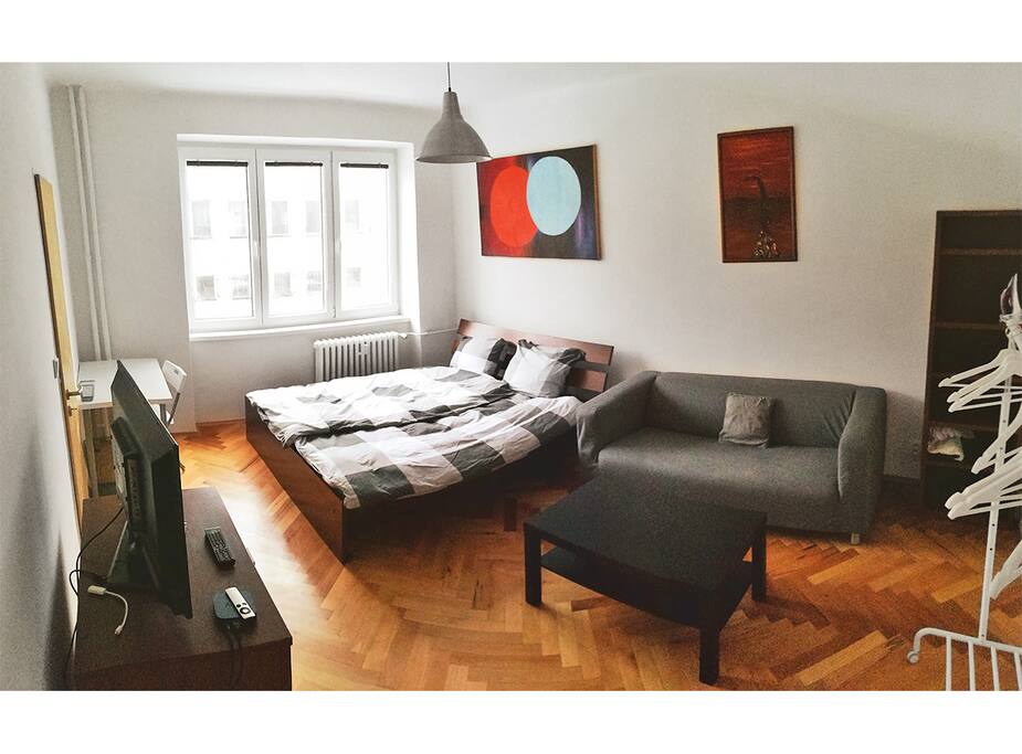 Big spacious modern furnished room with TV and Apple TV. Iron and iron table at disposal.