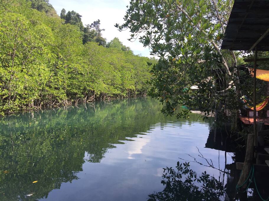 Riverside view