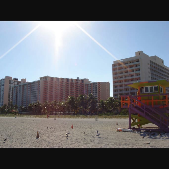 The view of the building from the beach