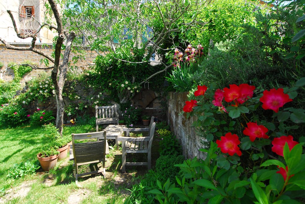 ll giardino nel mese di maggio