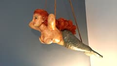 The+Flying+Mermaid