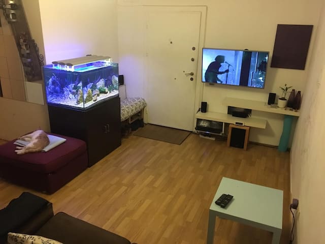 Cozy house 10 min from SAW airport w/ King Bed