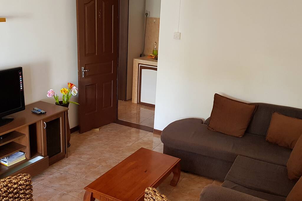 Family apt - Living/TV