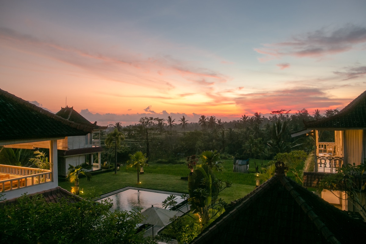 A serene sunset view over lush rice fields is captured, with vibrant colors reflecting in the sky. Two villa structures frame the scene, alongside a tranquil infinity pool surrounded by greenery. Soft lighting from the landscaping illuminates the area, enhancing the peaceful ambiance.