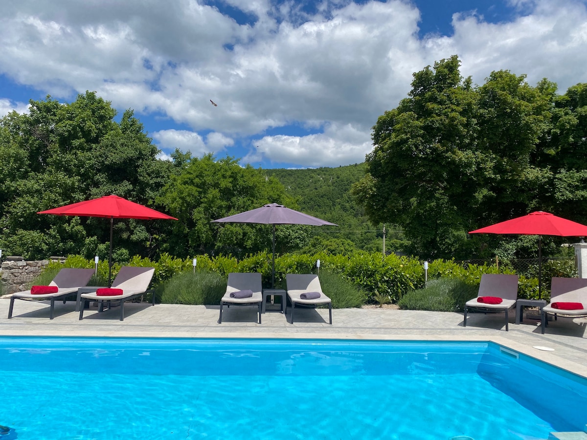 A private pool area is featured, surrounded by lush greenery and tall trees. Several lounge chairs are arranged by the water, complemented by umbrellas in red and purple. The clear blue pool reflects the sky, providing a serene atmosphere for relaxation.