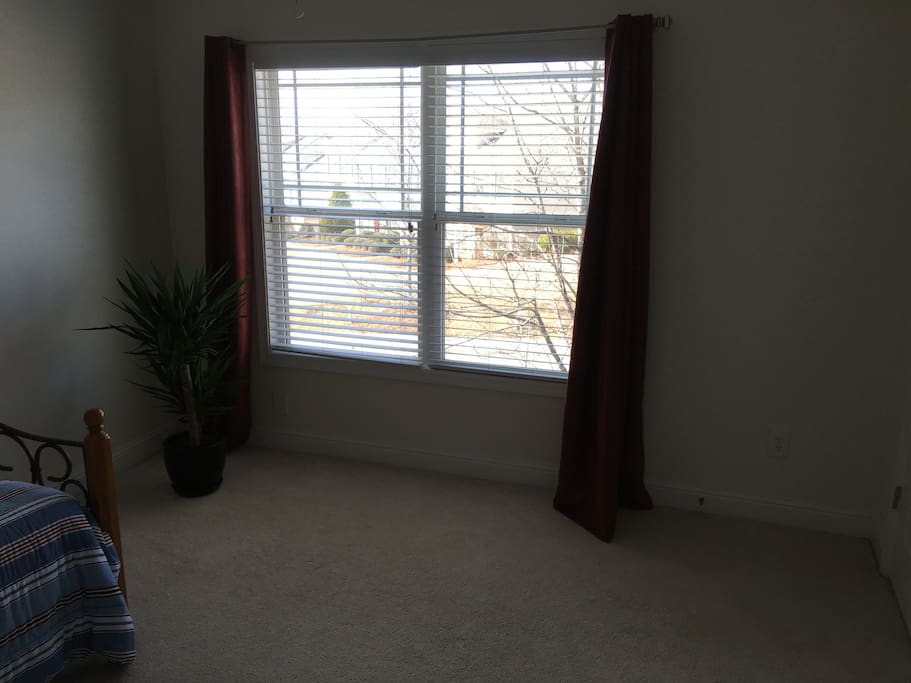 Window view, natural light. Black out curtains.