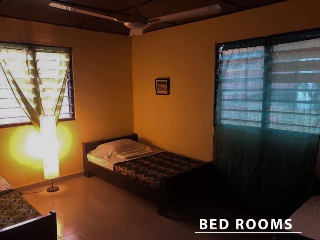 A well-lit bedroom presents a minimalist design with two spacious beds positioned on either side. Natural light filters through partially opened window curtains, creating a relaxed ambiance. A standing lamp adds soft illumination, complementing the warm yellow walls.