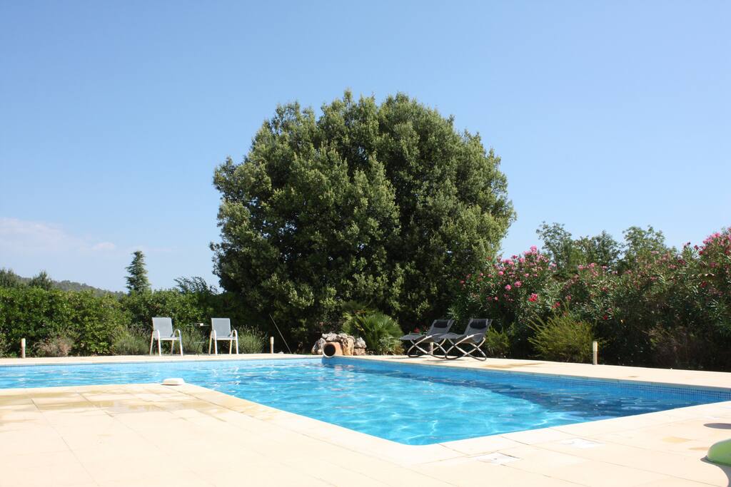 All day sun around the pool