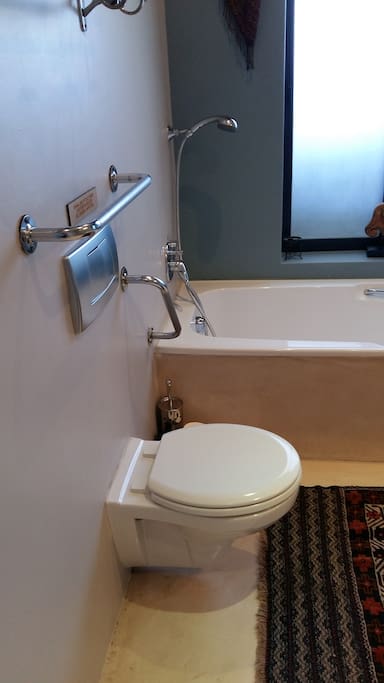 Wheelchair Friendly Bathroom