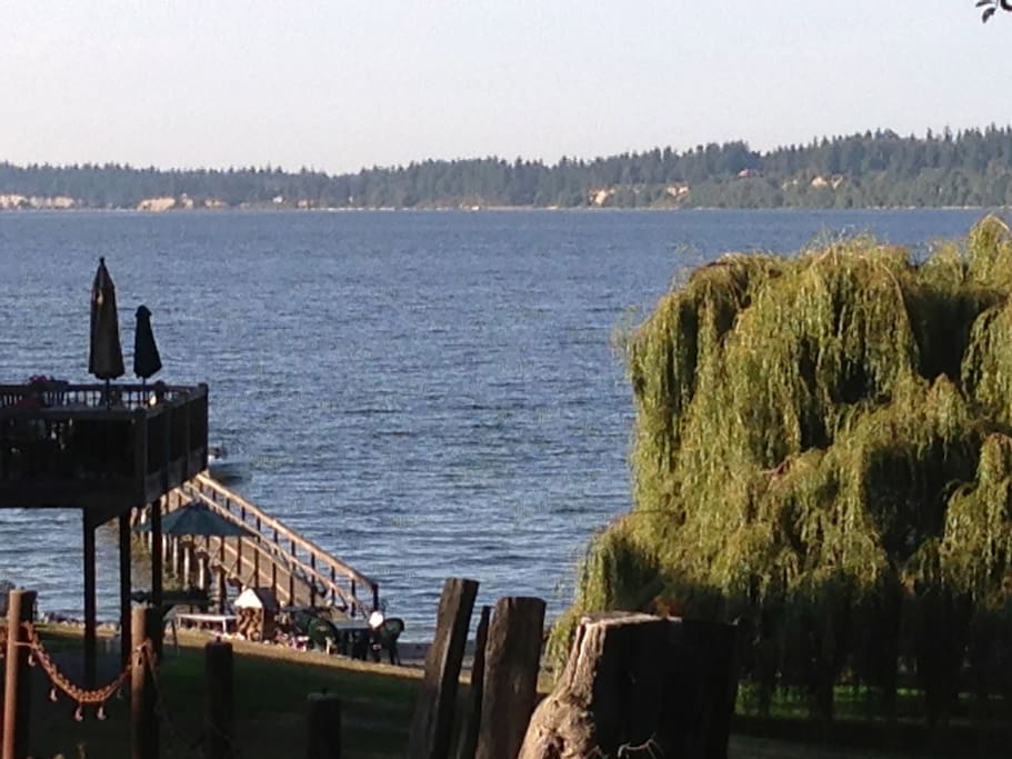 View from the Cottage
