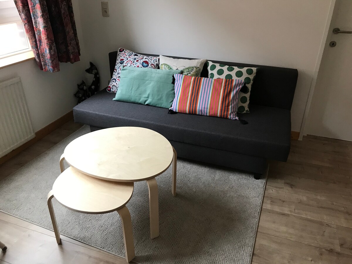 A cozy living area is presented, featuring a dark gray sofa adorned with colorful decorative cushions. Two circular coffee tables in light wood are positioned on a textured area rug. Natural light filters in through a window dressed with patterned curtains.