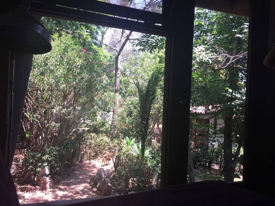 vista jardín desde el sofá