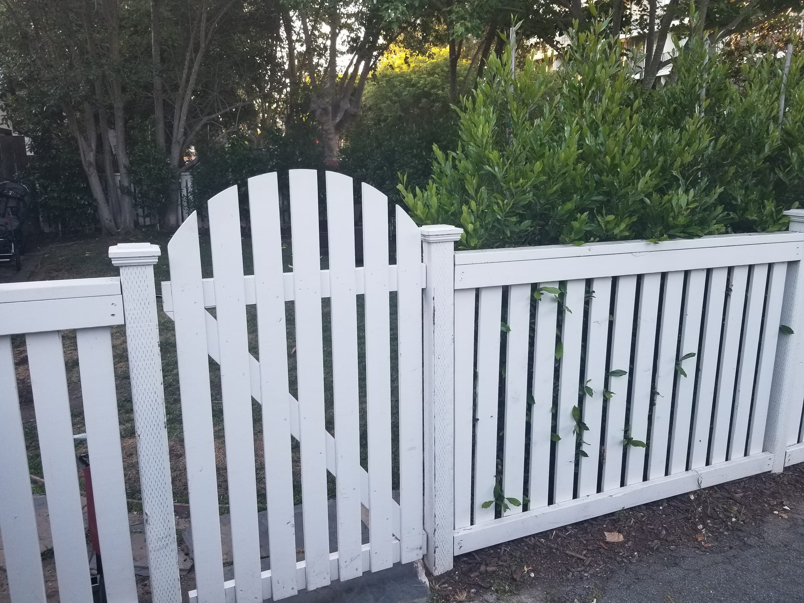 Remodeled Home Near Stanford, Private Yard - Photo 2