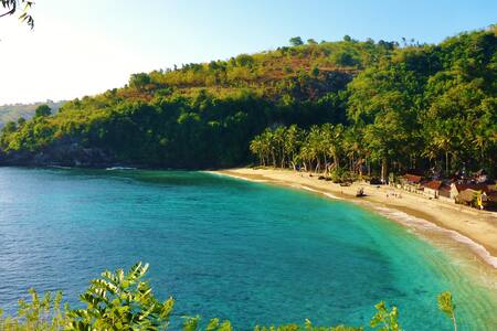 Airbnb Boats Bali top 20 des voilier p 233 niche et yachts 224 louer 224 bali Airbnb Boats Bali top 20 des voilier p 233 niche et yachts 224 louer 224 bali