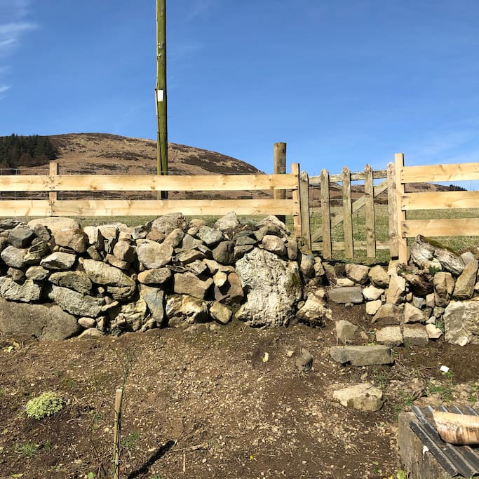 View from the back of the house