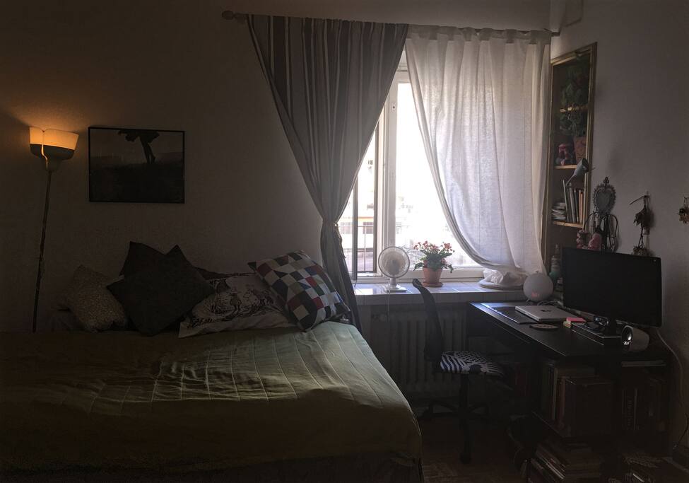 Bed, window, and desk