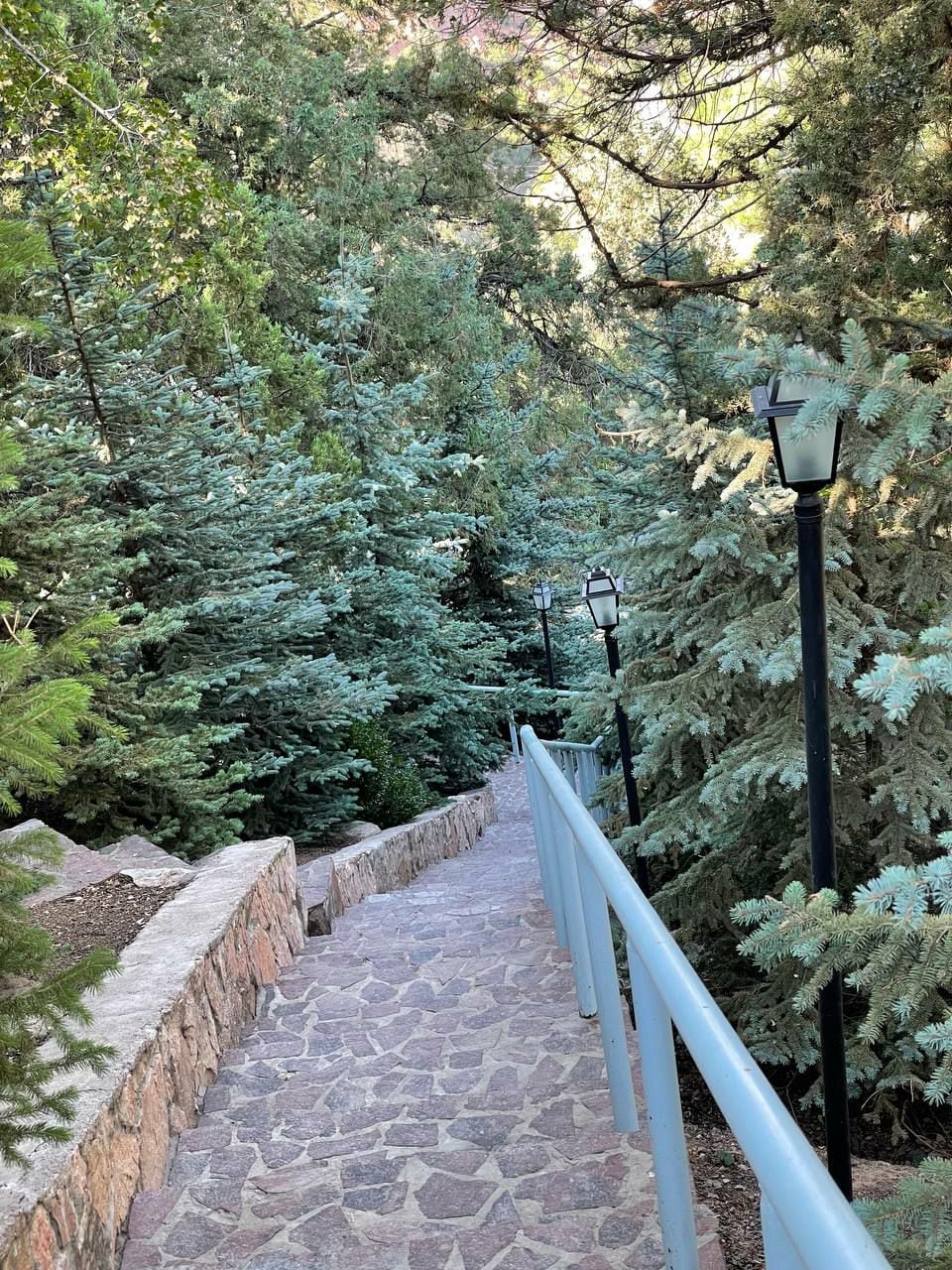 A stone pathway lined with trees leads downward, flanked by lantern-style lights. The greenery surrounds the path, creating a natural corridor that offers shade and seclusion, inviting guests to explore further.