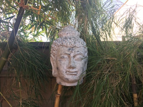 Secret Garden Oasis