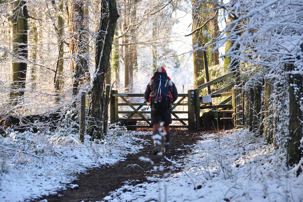 Winter walks