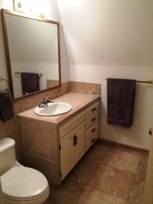 Newly remodeled bath with tiled shower