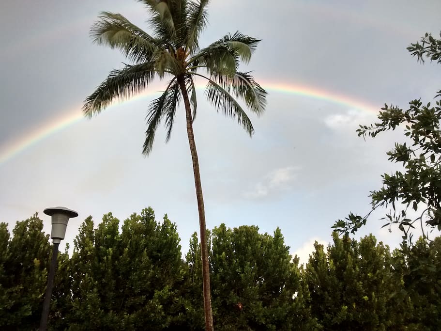 A welcoming rainbow!