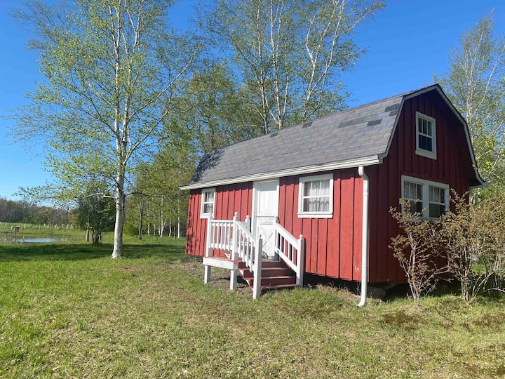 Top 5 Cheap Cabin Rentals Near Erie, Pennsylvania Updated 2024 Trip101